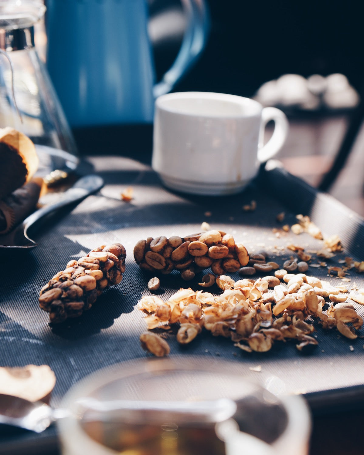 What to Know About Weasel and Civet Coffee: History, Taste, Where to Buy What to Know About Weasel and Civet Coffee: History, Taste, Where to Buy