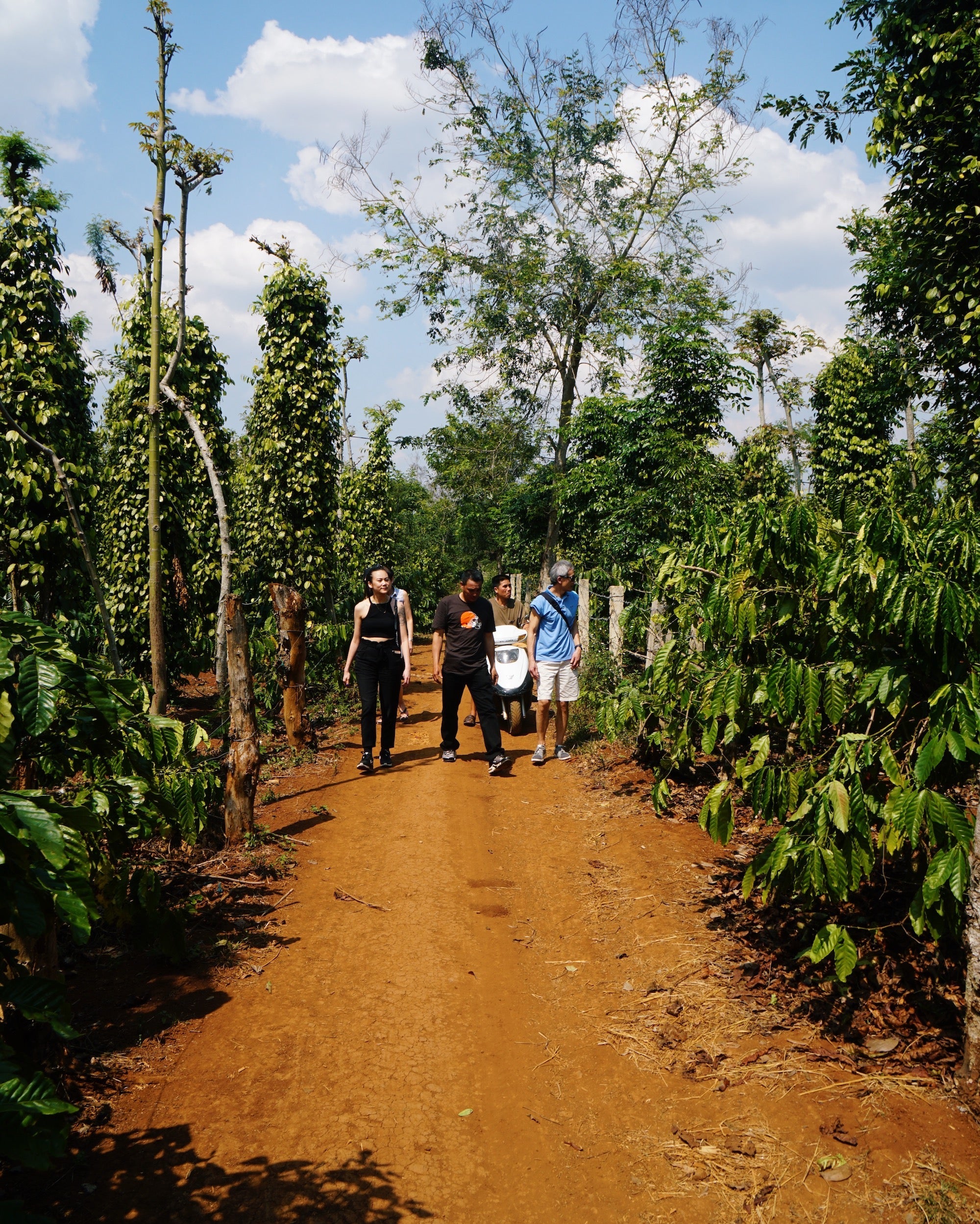 Coffee Production in Asia Coffee Production in Asia