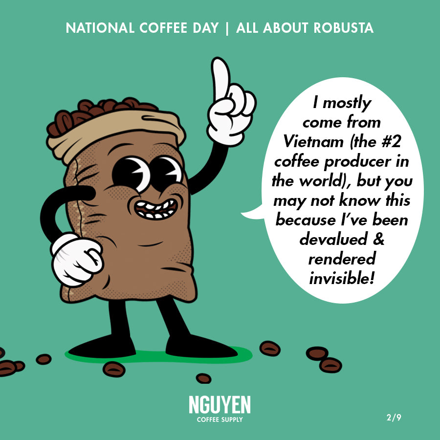 vietnamese coffee robusta where does it come from