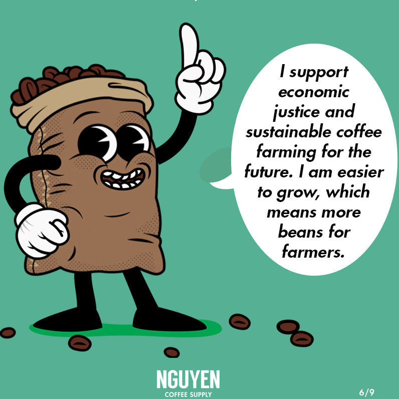 robusta coffee is the future