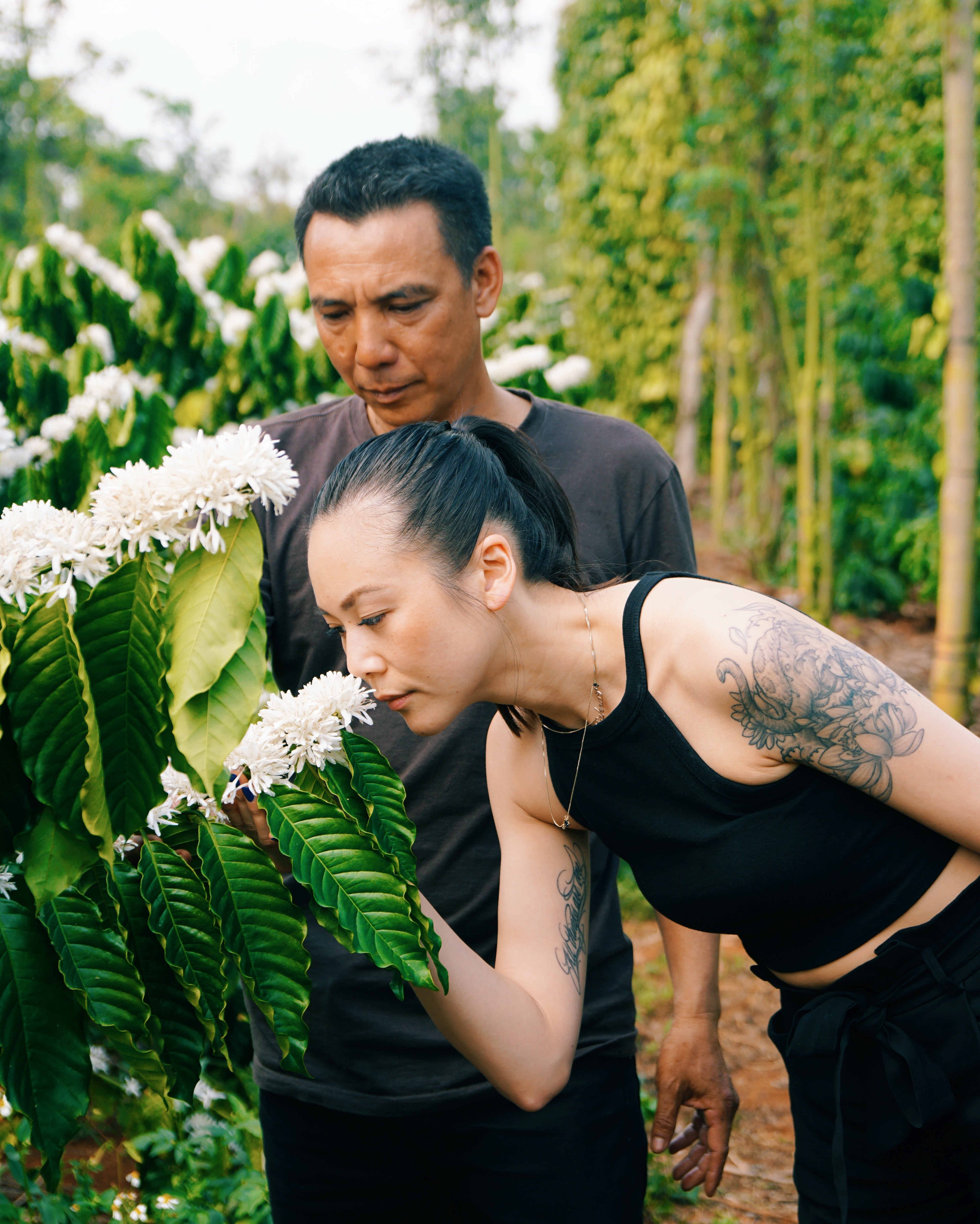How We Make Sustainable Coffee