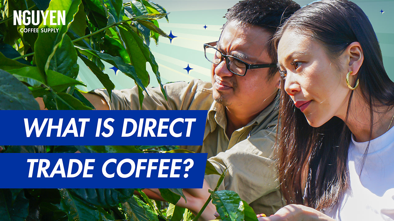 what is direct trade coffee? nguyen coffee supply ultimate guide to vietnamese coffee