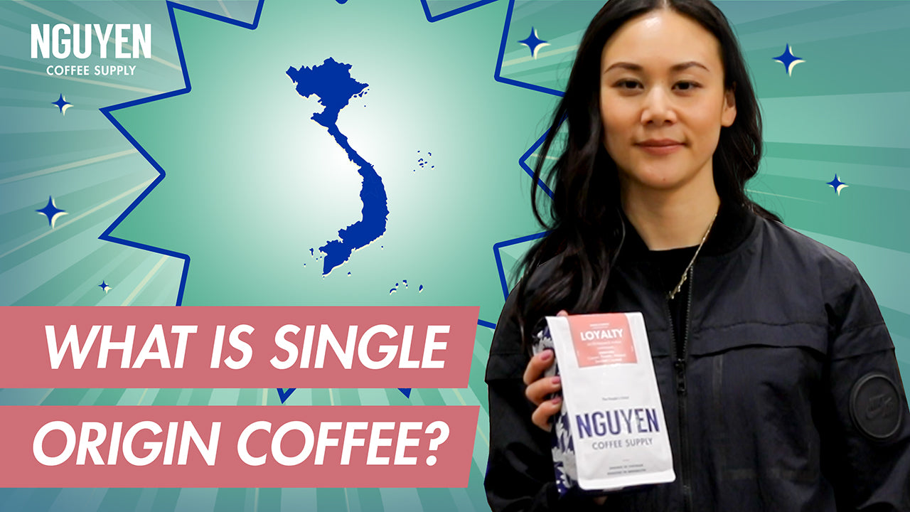 what is single origin coffee? nguyen coffee supply ultimate guide to vietnamese coffee