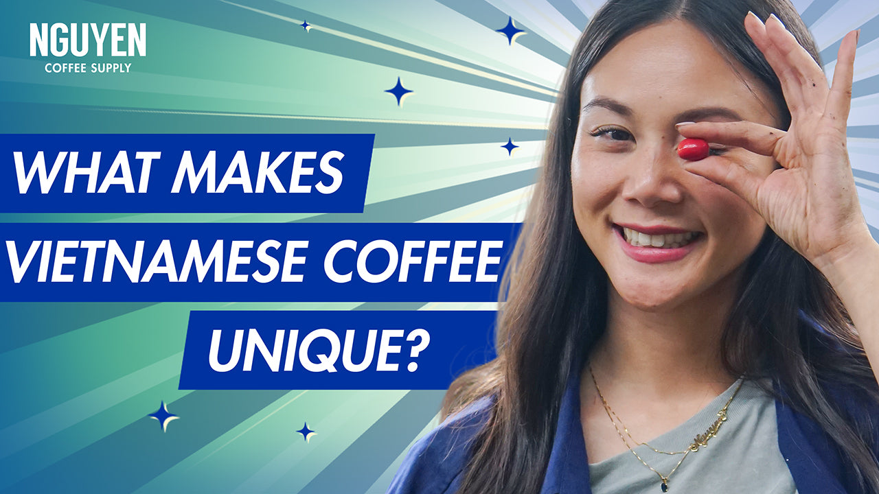what makes vietnamese coffee unique? nguyen coffee supply ultimate guide to vietnamese coffee