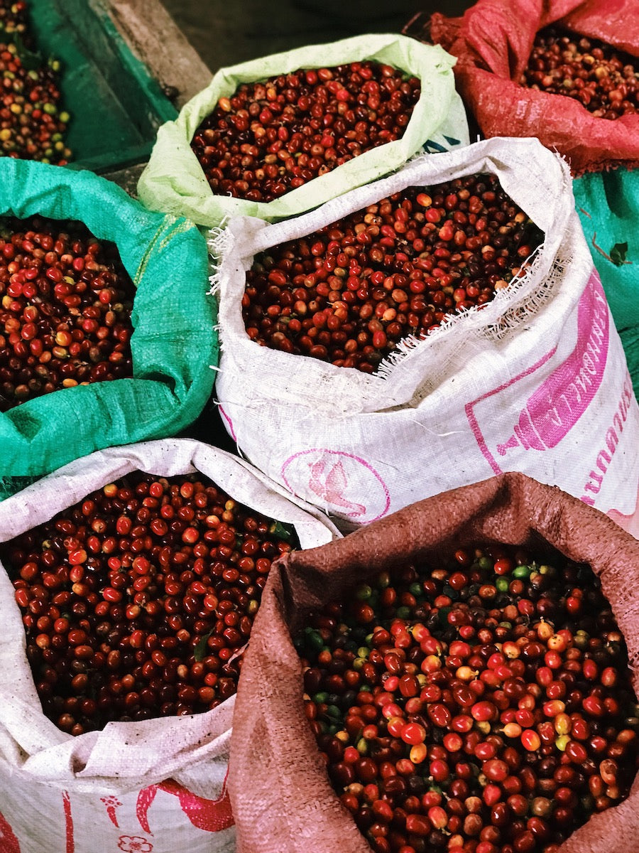 Types of Vietnamese Coffee Varietals