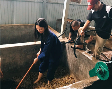 our process after harvesting wash