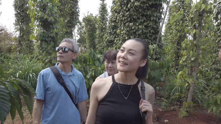 Vietnamese Coffee Farm Tour