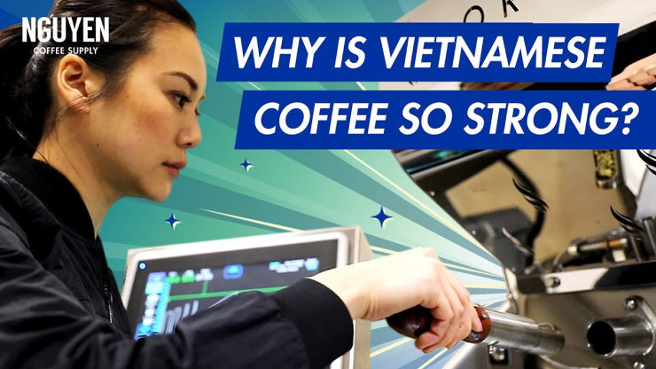 Why is Vietnamese coffee so strong? The answer lies in the type of coffee bean grown in Vietnam. Most coffee produced in Vietnam is robusta, a coffee bean that has twice the caffeine of arabica coffee (most widely consumed around the world).